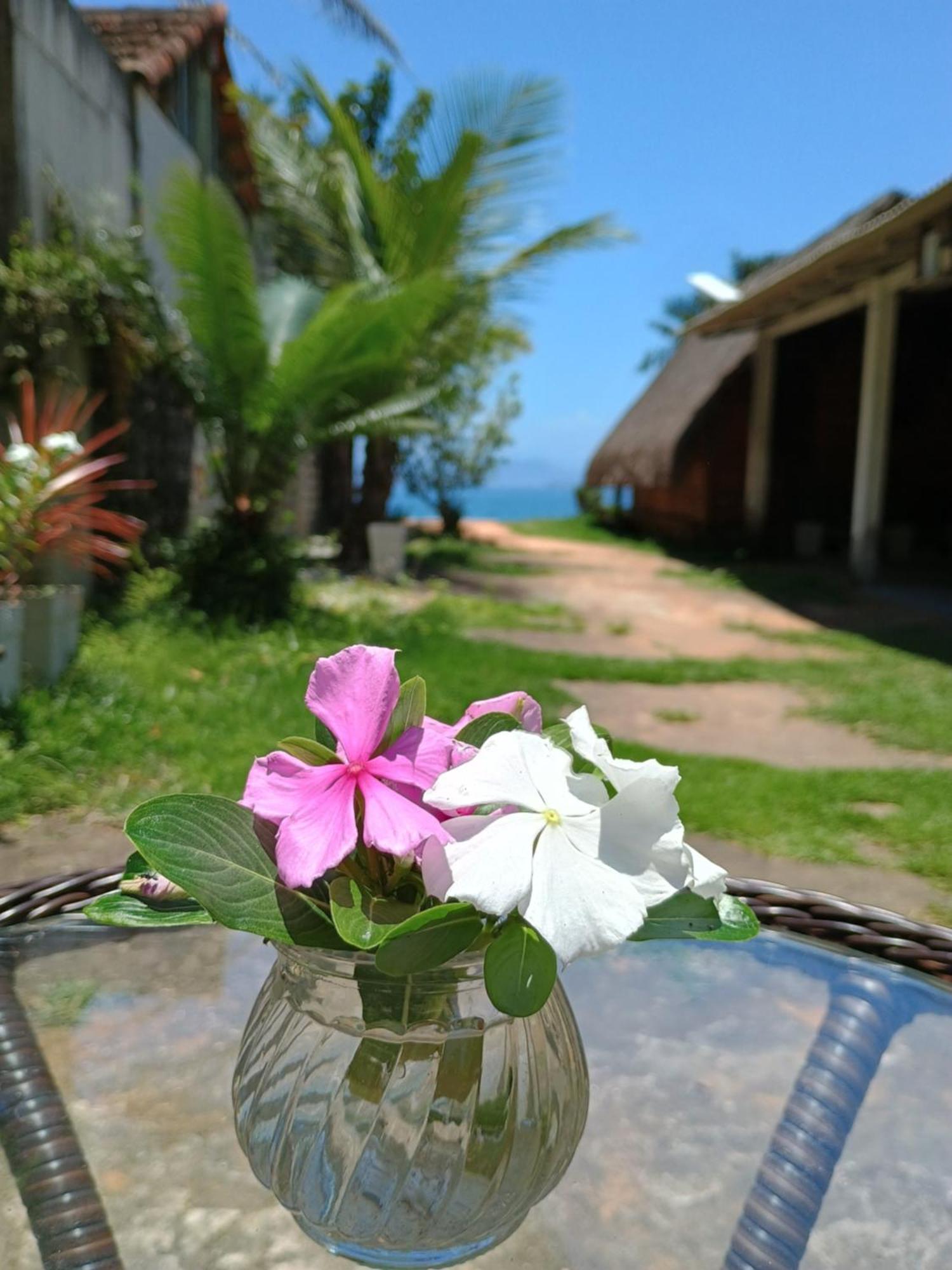 Chales Do Pedro Hospedagem E Restaurante Praia de Aracatiba Exterior photo